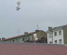 D�a de la Paz 2005