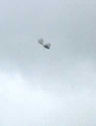 D�a de la Paz 2005