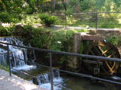 En el jard�n Bot�nico