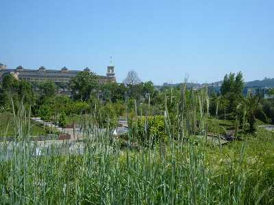 En el jard�n Bot�nico