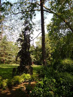 En el jard�n Bot�nico