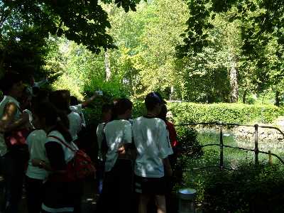 En el jard�n Bot�nico