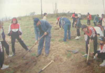Plantando un �rbol