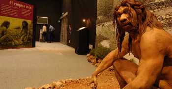 Homo heidelbergensis