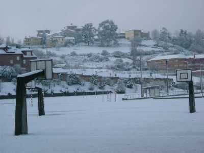 Bajo la nieve