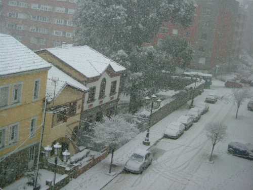 Bajo la nieve