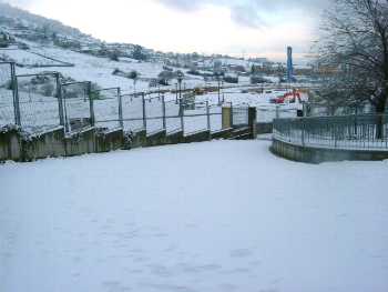 Bajo la nieve