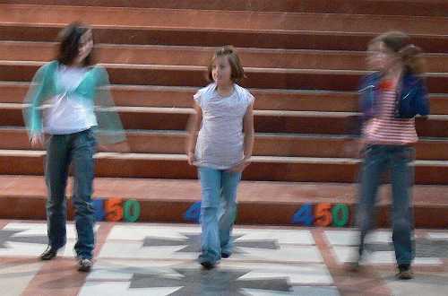 Festival de Primaria