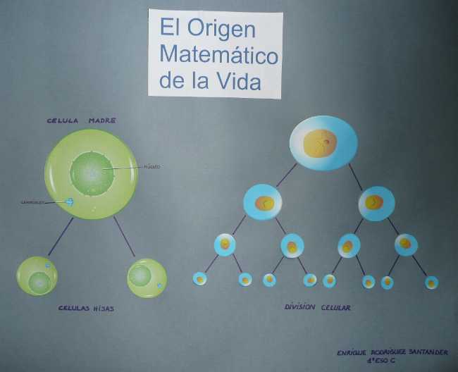 El origen matem�tico de la vida