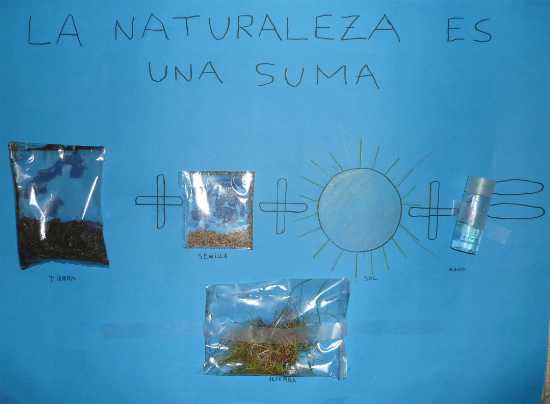 La naturaleza es una suma