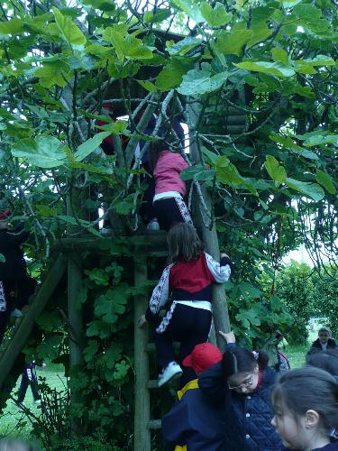 En la Granja de Arg�ero