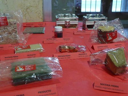 Exposici�n de reciclaje