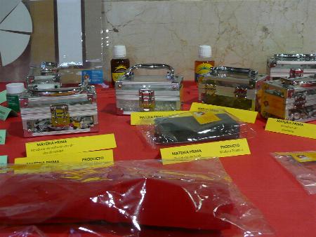 Exposici�n de reciclaje