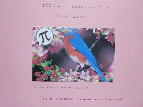 Representaci�n matem�tica en la naturaleza