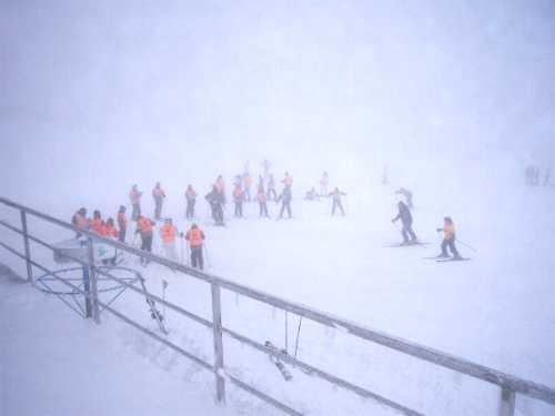 Nieve 2008