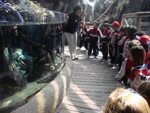 En el acuario