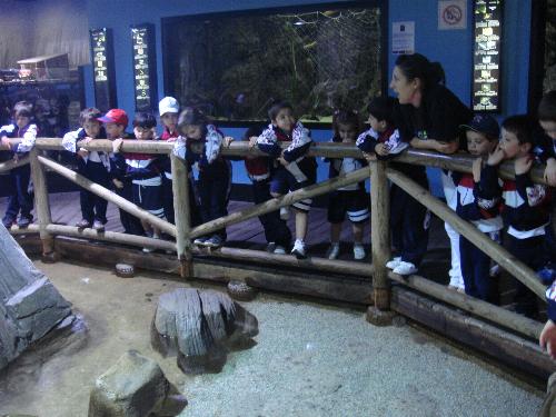 En el acuario