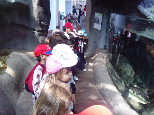 En el acuario