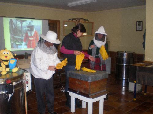 En el aula de apicultura