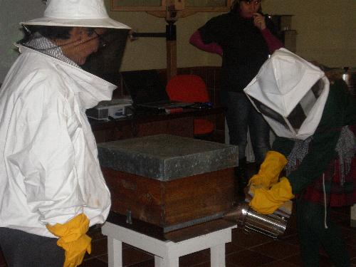 En el aula de apicultura