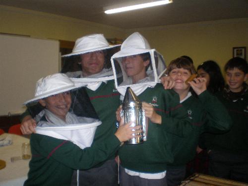 En el aula de apicultura