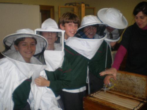 En el aula de apicultura