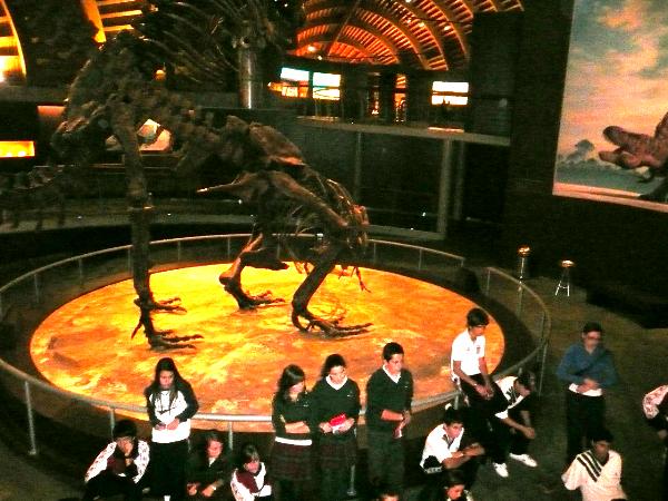 Una semana en Oviedo