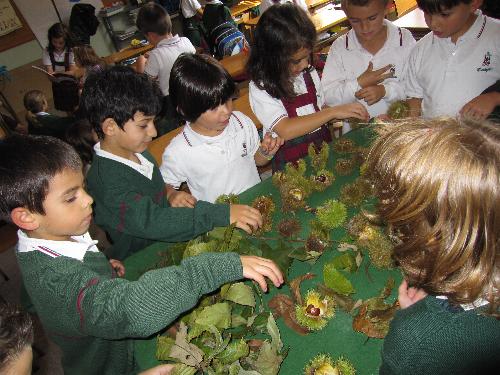 Con las castañas
