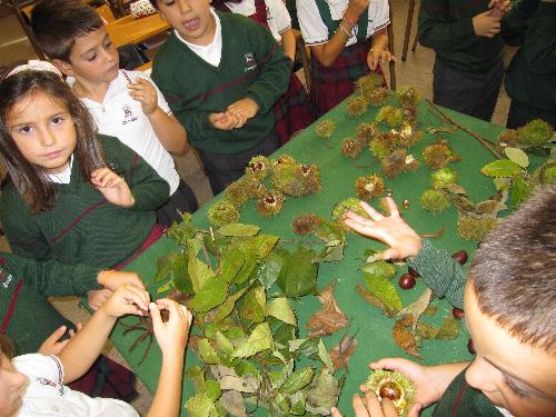 Con las castañas