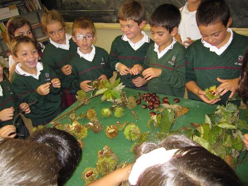 Con las castañas