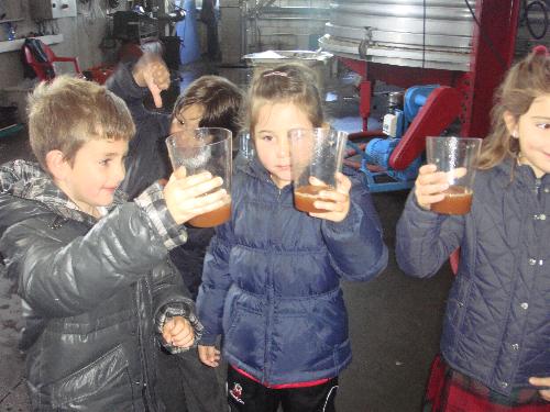 5 años en el LLagar