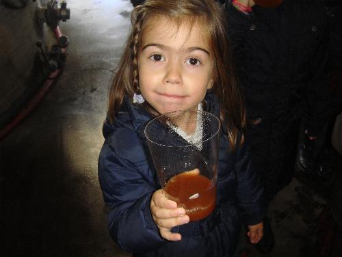 5 años en el LLagar