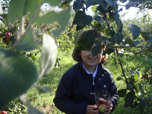 5 años en el LLagar