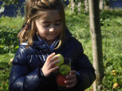 5 años en el LLagar