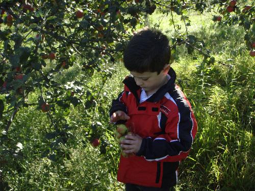 5 años en el LLagar