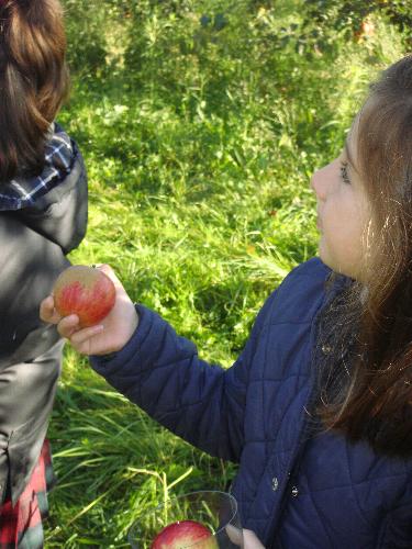 5 años en el LLagar
