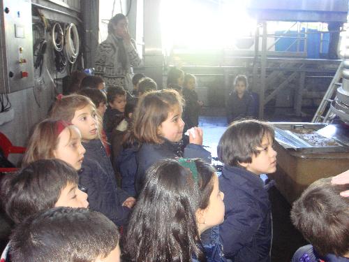 5 años en el LLagar