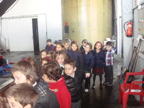 5 años en el LLagar