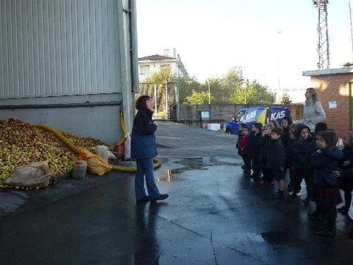 5 a�os en el LLagar