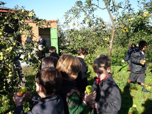 5 a�os en el LLagar