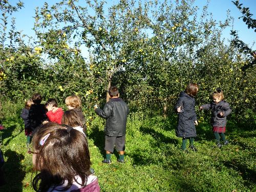 5 a�os en el LLagar