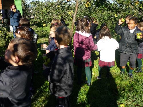 5 a�os en el LLagar