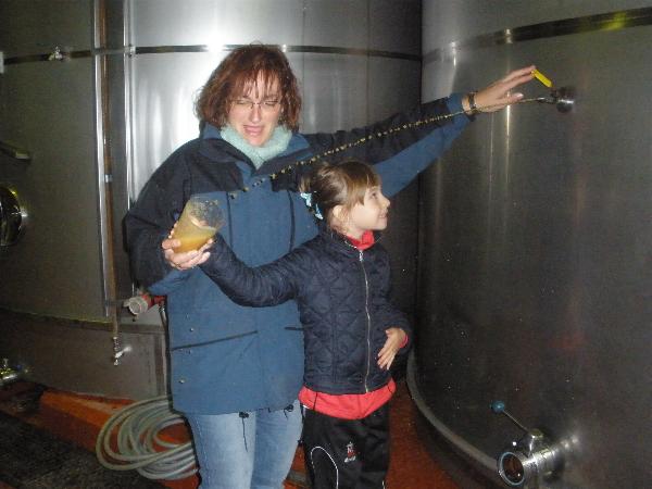 5 años en el LLagar