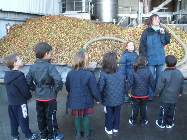 5 años en el LLagar