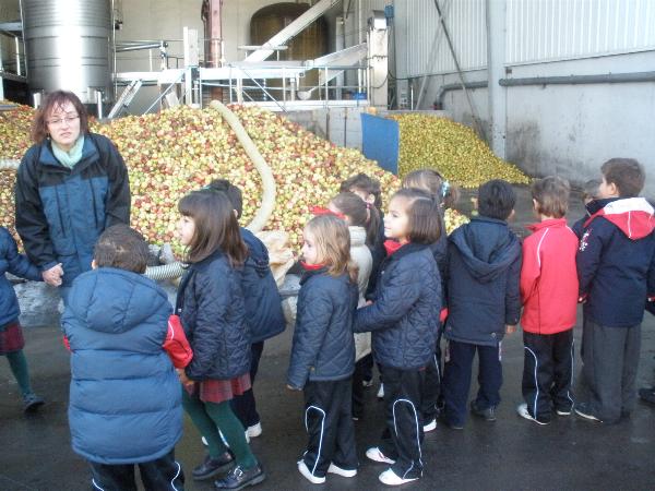 5 años en el LLagar