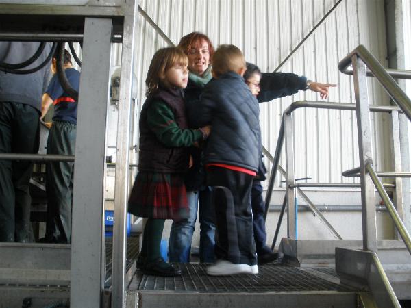 5 años en el LLagar