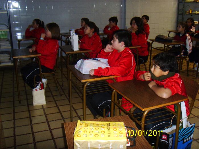 Taller Medioambiental