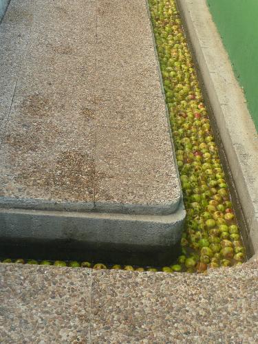 Una semana en Oviedo