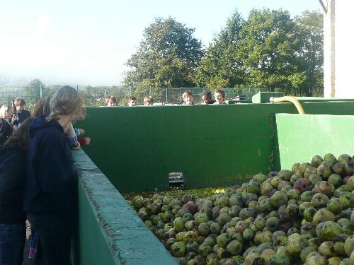 Una semana en Oviedo