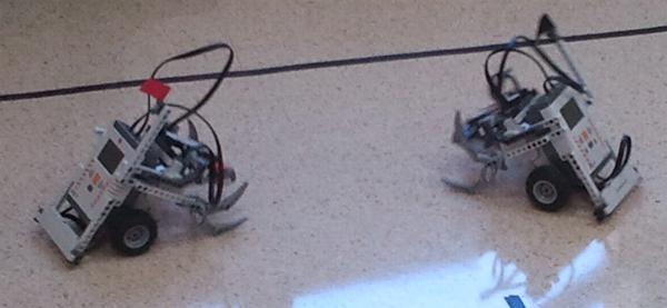 Informática Extrema